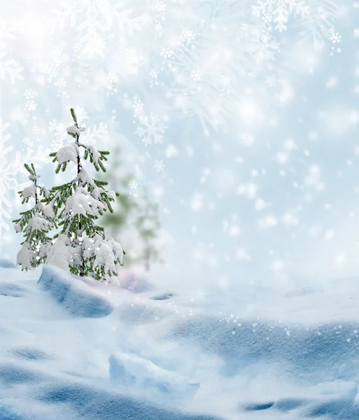 Bakgrund av snö. vinterlandskap — Stockfoto