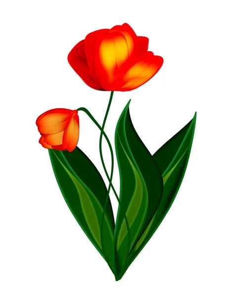 Strauß Tulpen. — Stockfoto