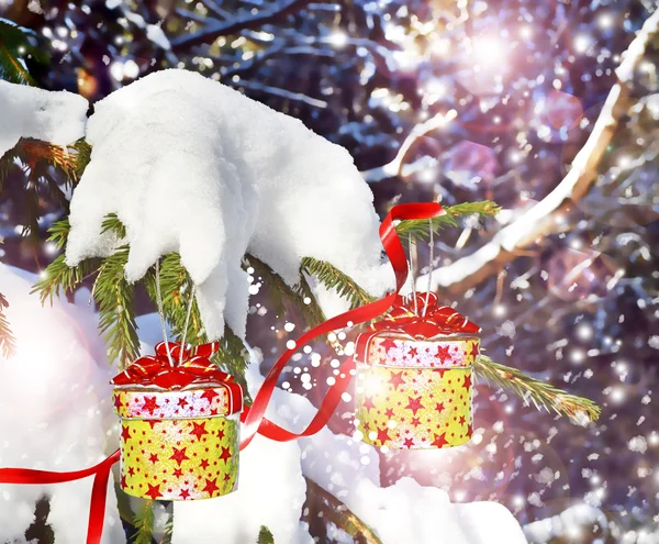 Paesaggio invernale e albero di Natale — Foto Stock