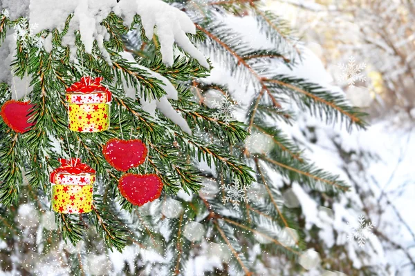 Regalos decorados con abeto — Foto de Stock