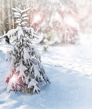 Kış. kar yağışı.