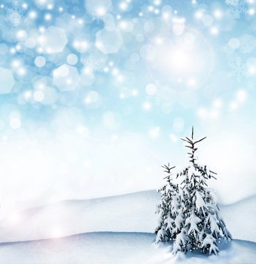 Kış arka plan. kış orman