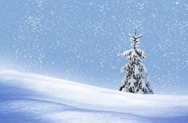 kış orman. Kış manzarası.