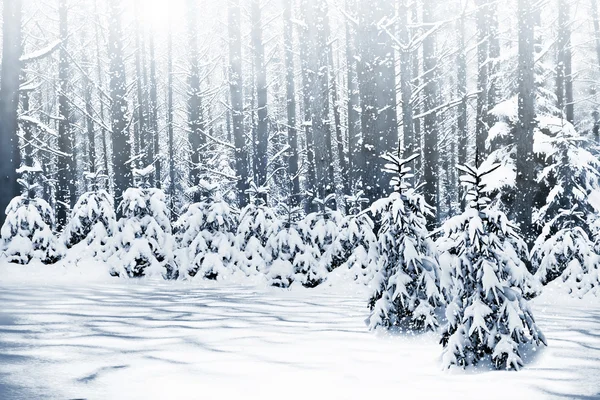 Winter. Snowfall. — Stock Photo, Image