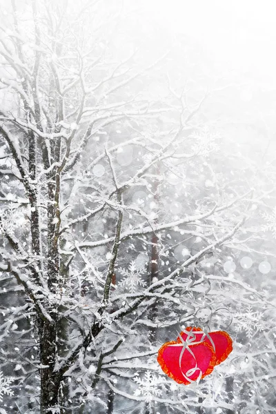 Stromy ve sněhu. Srdce. — Stock fotografie