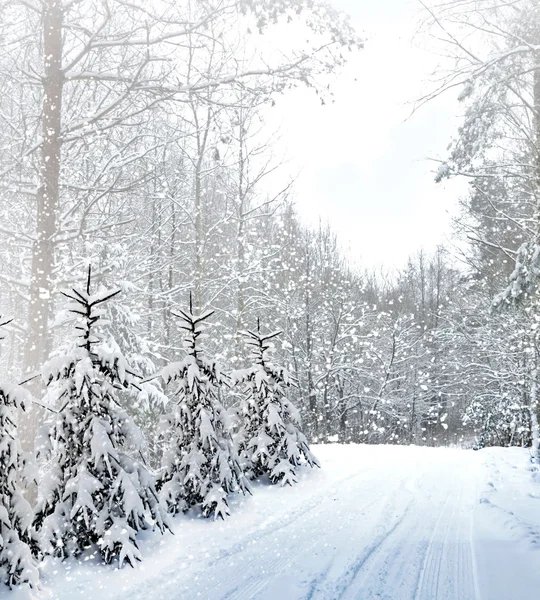 Inverno. Queda de neve . — Fotografia de Stock