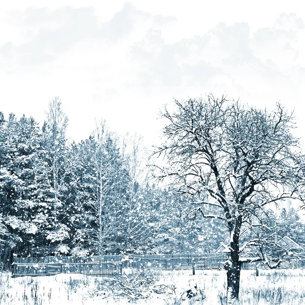 冬の森の村 — ストック写真