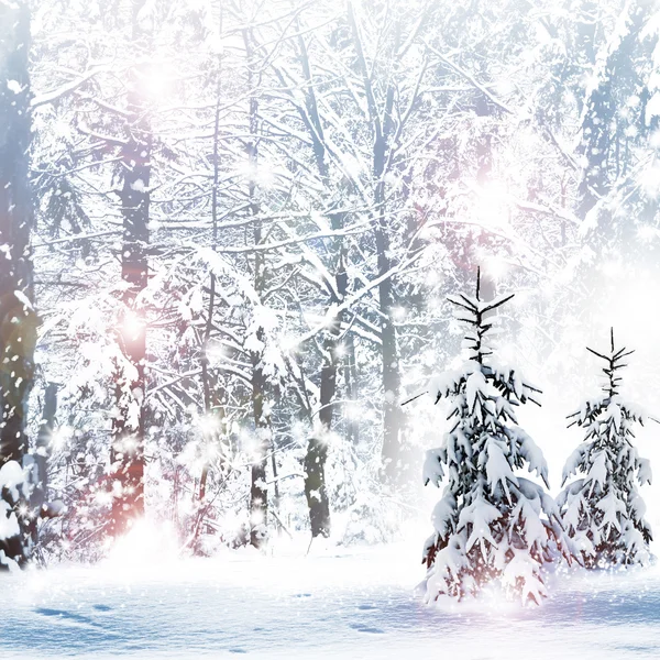 Kış. kar yağışı.