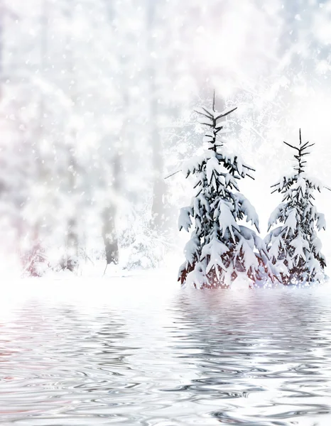 Inverno. Nevicate . — Foto Stock