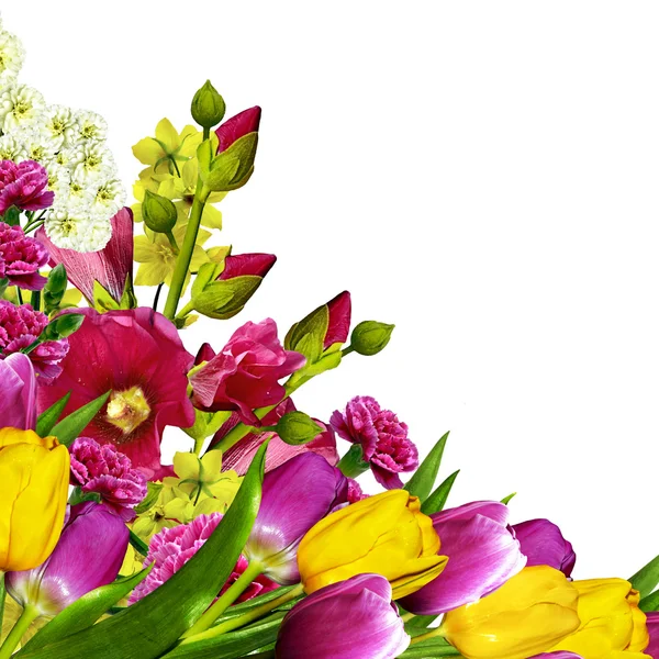 Kytice květin izolovaných na bílém pozadí — Stock fotografie