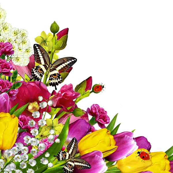 Bouquet di fiori isolati su sfondo bianco — Foto Stock