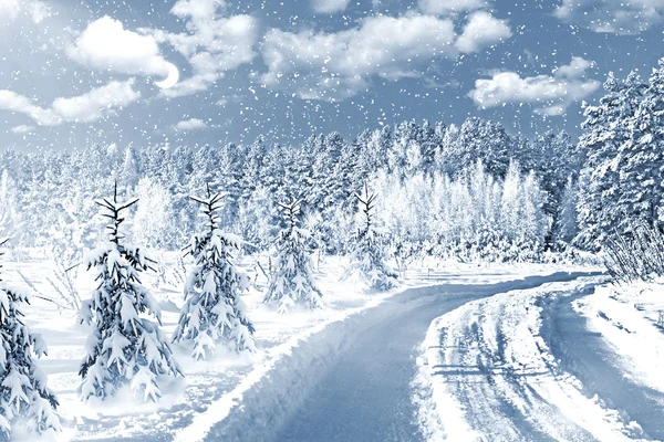 Winter Forest — Stock Photo, Image