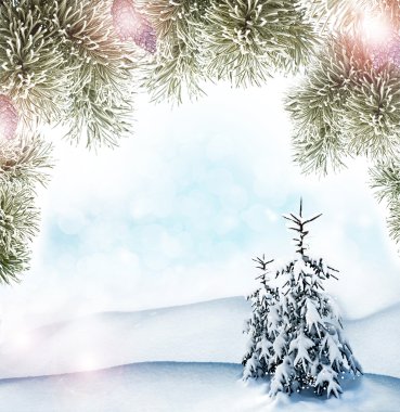 Kış arka plan. kış orman