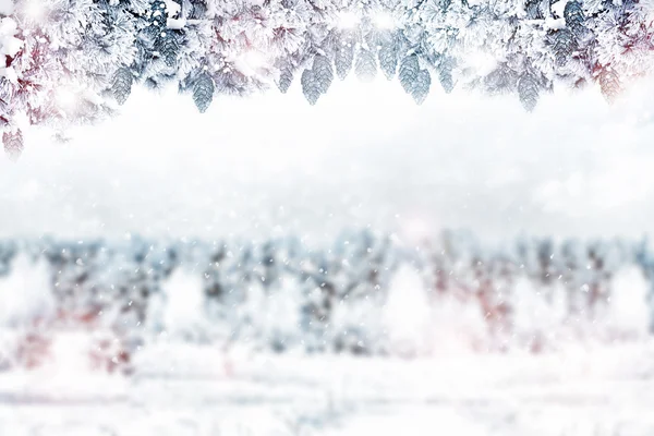 Winter landscape. — Stock Photo, Image