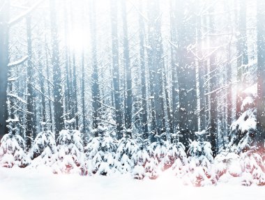 Kış. kar yağışı.