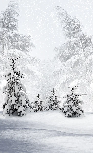 Winter Forest. Winter landscape. — Stock Photo, Image