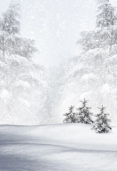 Зимовий ліс. зимовий пейзаж. — стокове фото