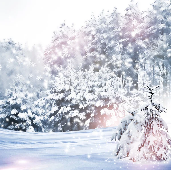 Winterwald. Winterlandschaft. — Stockfoto