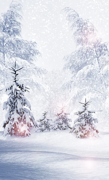 Winter forest. winterlandschap. — Stockfoto