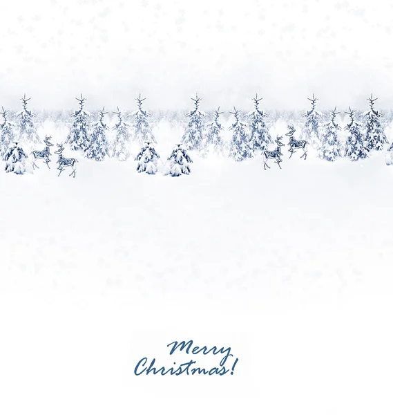 Winter Forest. Winter landscape.Christmas card — Stock Photo, Image