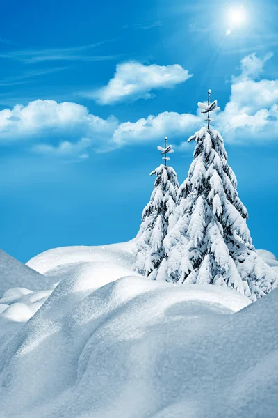 Winter landscape — Stock Photo, Image