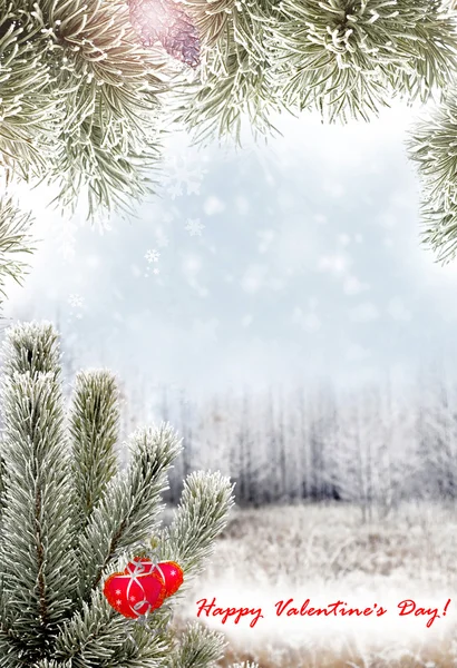 Winter Forest. heart. Valentine's Day — Stock Photo, Image