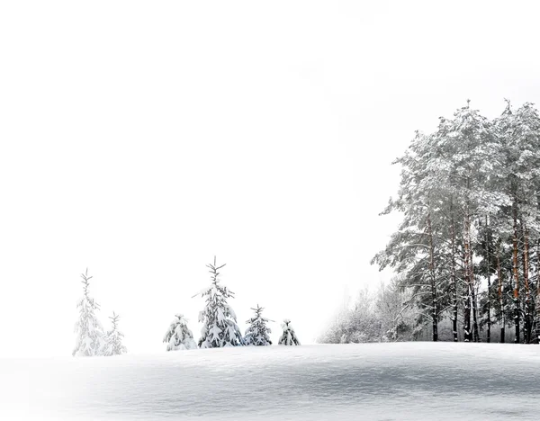 Winter Forest. Winter landscape. — Stock Photo, Image