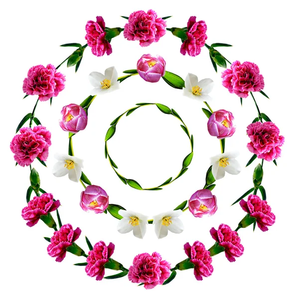 Circle frame flowers — Stock Photo, Image