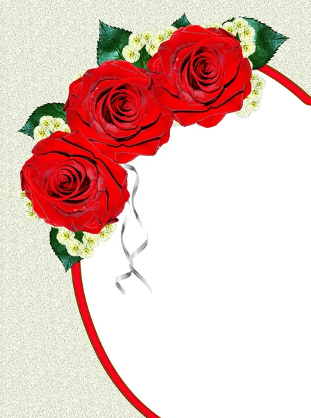 Red roses isolated on white background — Stock Photo, Image