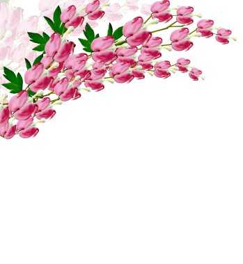 kalbi kanayan Pembe çiçek