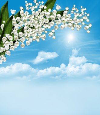 The branch of white flowers lily of the valley on a background o clipart