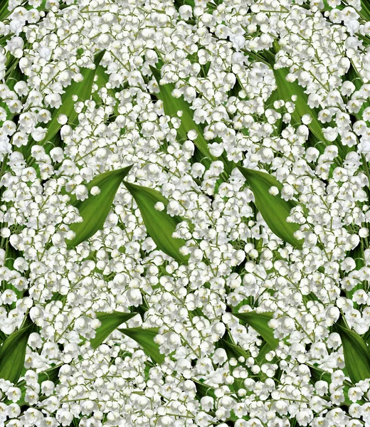 Background of flowers lily of the valley — Stock Photo, Image