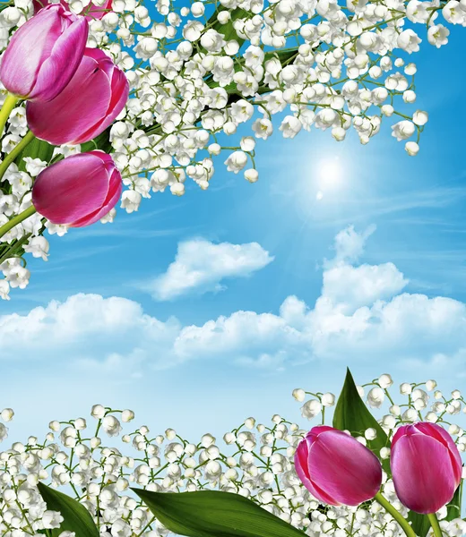 Vårblommor liljekonvaljer och tulpaner mot en blå sk — Stockfoto