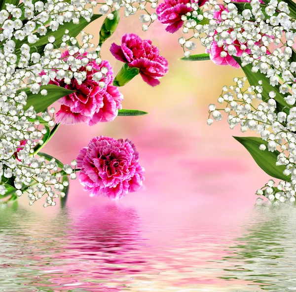 Flores de cravo — Fotografia de Stock