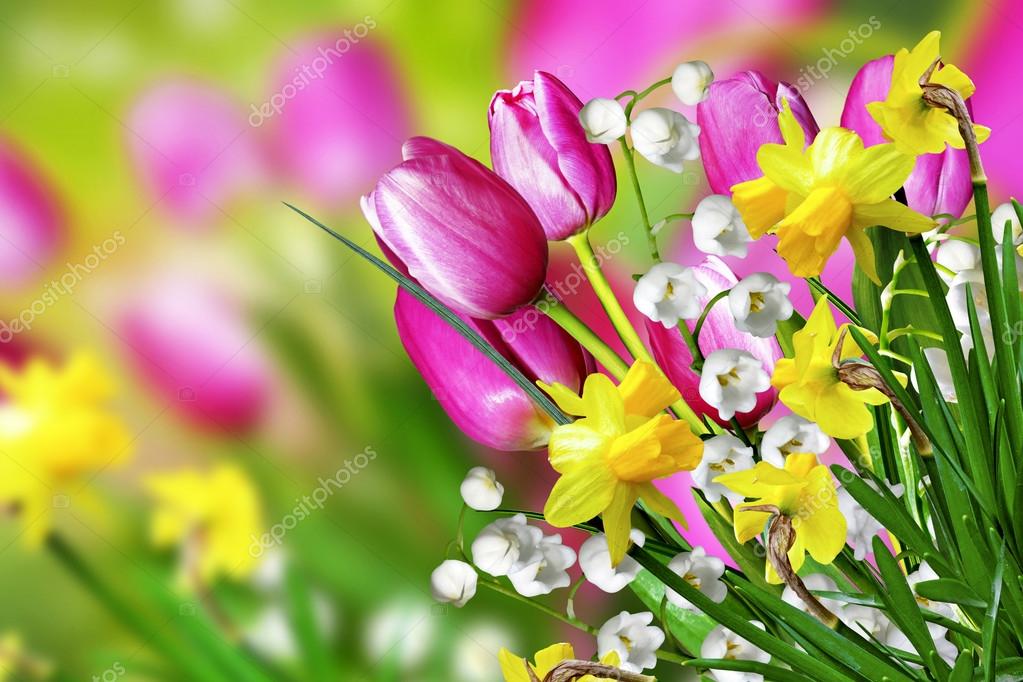 Spring flowers tulips and lilies of the valley — Stock Photo © alenalihacheva 62878237