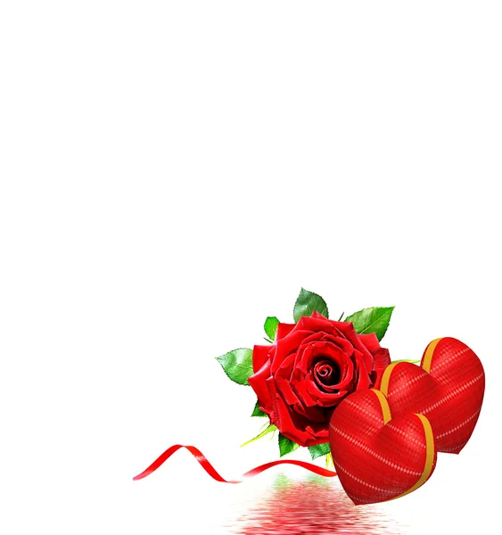 Czerwone róże na białym tle — Zdjęcie stockowe