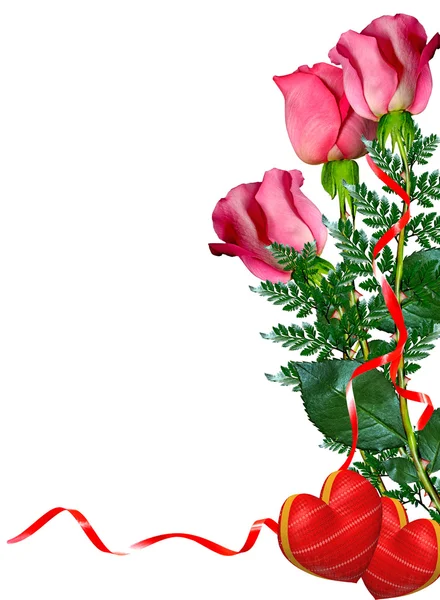 Roses rouges isolées sur fond blanc — Photo