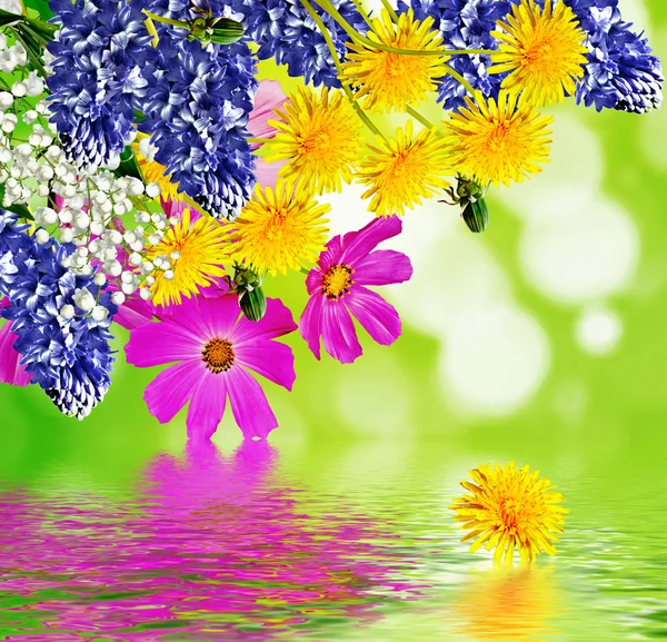Summer landscape. floral background. — Stock Photo, Image
