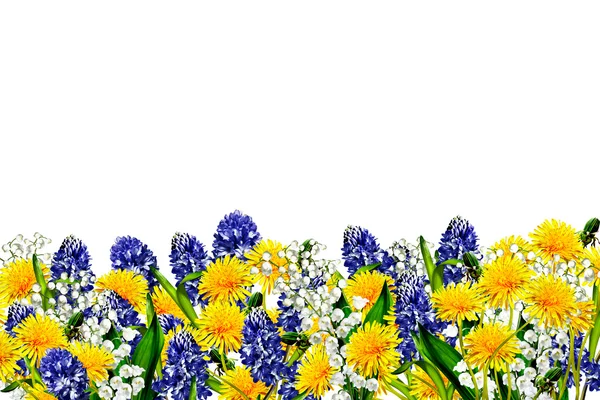 Fiori isolati su sfondo bianco — Foto Stock