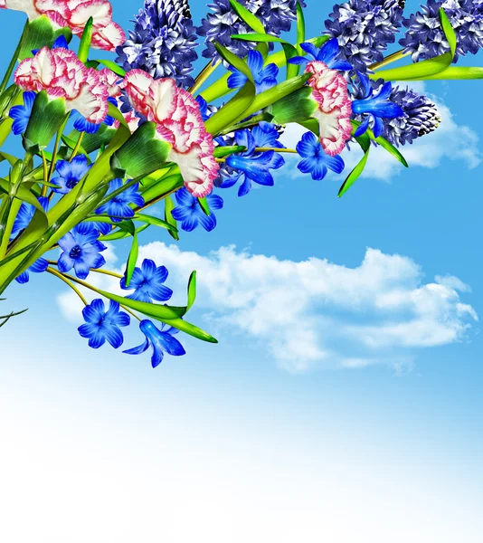 Flores sobre un fondo de cielo azul con nubes —  Fotos de Stock