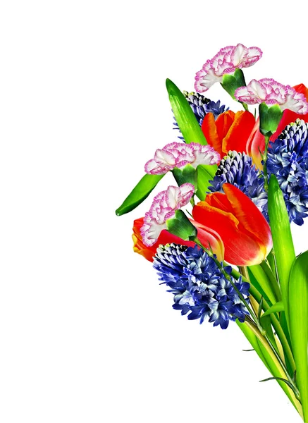Spring flowers tulips and hyacinths isolated on white background — Stock Photo, Image