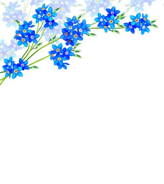 Unut beni-beyaz arka plan üzerinde izole çiçeği