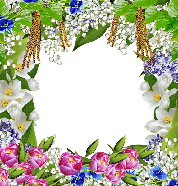 Tavaszi virágok. keret — Stock Fotó