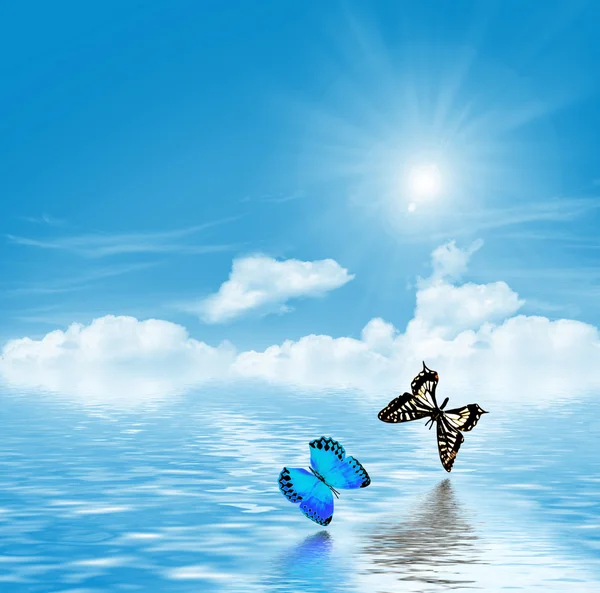 Butterflies on a background of blue sky with clouds — Stock Photo, Image