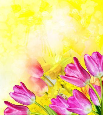 Pembe ve sarı çiçek Lale ve Nergis