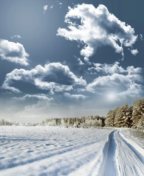 Vintern skog. landskap. — Stockfoto
