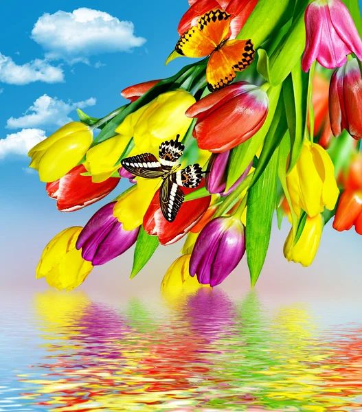 Wiosenne kwiaty tulipany na tle niebieski niebo z chmurami — Zdjęcie stockowe
