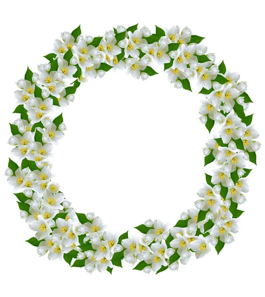 Round frame of jasmine flowers — Stock Photo, Image