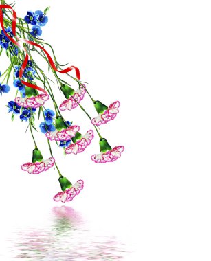 karanfil çiçekleri beyaz arkaplanda izole edilmiş