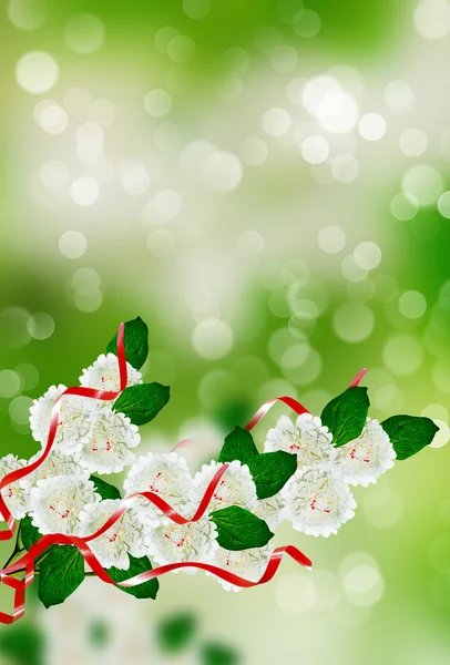 Branch peony bloemen — Stockfoto